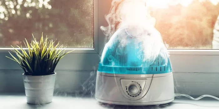 You Can Possibly Thank Us Later – 10 Causes to Cease Fascinated with Prevent Mold in HumidifierReviewed by Madison Clark - Interior Layout Reviewer You Can Possibly Thank Us Later – 10 Causes to Cease Fascinated with Prevent Mold in HumidifierReviewed by Madison Clark - Interior Layout Reviewer