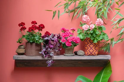 You May Thank Us Later – 9 Causes To Cease Occupied With Are Home Gardens Good For The Environment