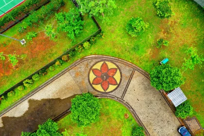 Your Key To Success: Are Home Gardens Good For the Environment?