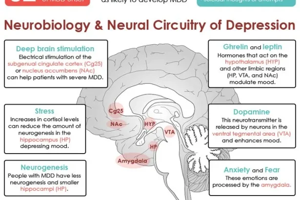 Big Depression (Major Depressive Disorder)&nbsp;Mdd Symptoms, Causes, Treatment Options