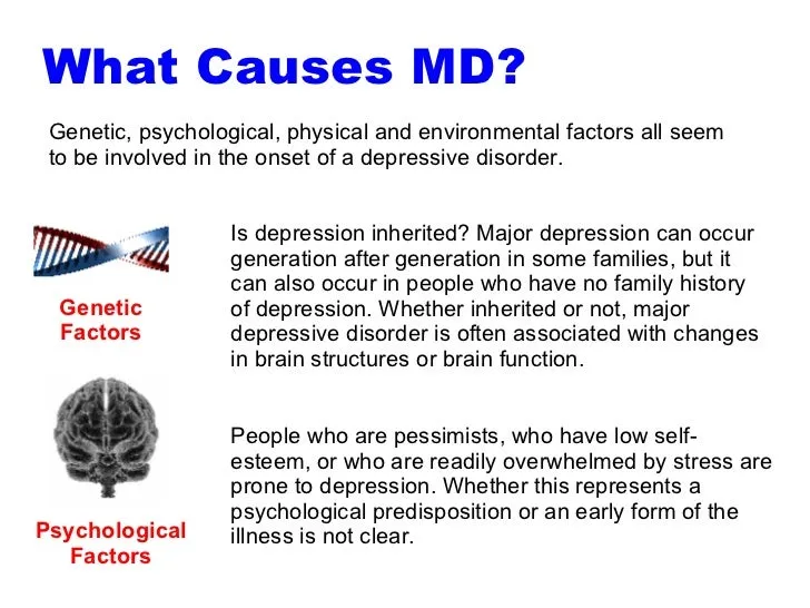 Environmental Factors And Causes Of Significant Depressive DisorderReviewed by Brianna Scott - Lifestyle Health Reviewer Environmental Factors And Causes Of Significant Depressive DisorderReviewed by Brianna Scott - Lifestyle Health Reviewer