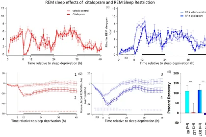 Rem Sleep Homeostasis In The Absence Of Rem Sleep