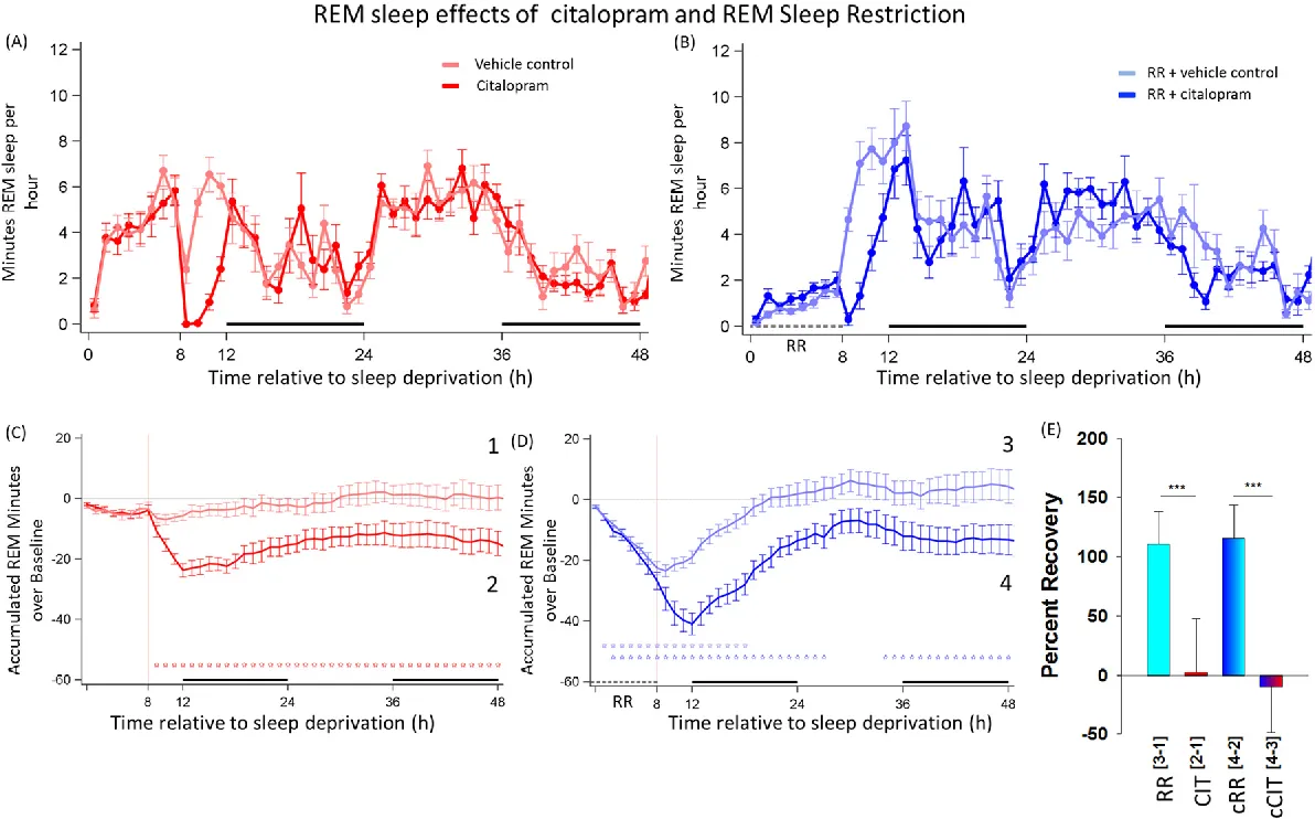 Rem Sleep Homeostasis In The Absence Of Rem SleepReviewed by Megan Foster - Evidence-Based Wellness Editor Rem Sleep Homeostasis In The Absence Of Rem SleepReviewed by Megan Foster - Evidence-Based Wellness Editor