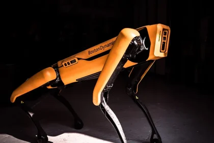 AI and Dog Research: Influence Statement of AI on Existing Research To start talking with a dog