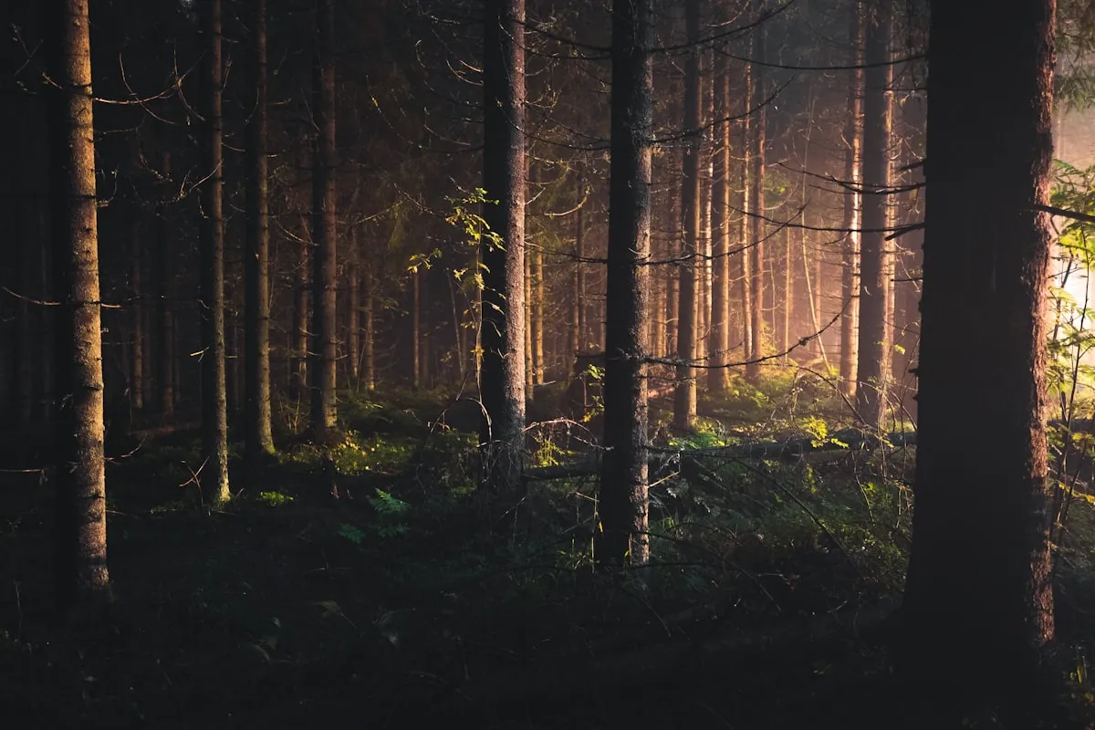 “subthreshold” DepressionReviewed by Kevin Turner - Health Clarity Reviewer