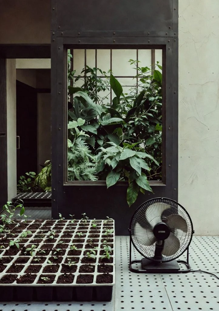 Organized indoor vegetable growing system during cool season