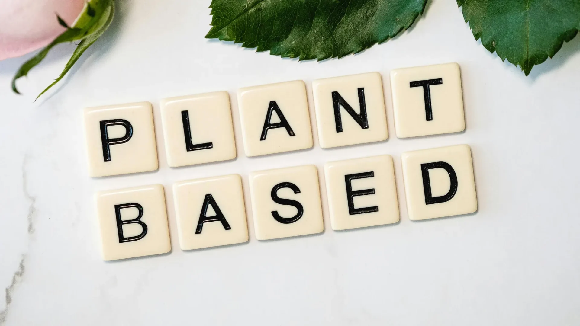 The Plant Based Eating Plan At The Rear Of The ScenesReviewed by Marcus Dale - Kitchen Workflow Editor The Plant Based Eating Plan At The Rear Of The ScenesReviewed by Marcus Dale - Kitchen Workflow Editor