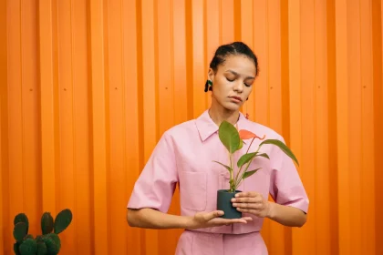 What is the Recommendations For Native Plants and Home Gardening