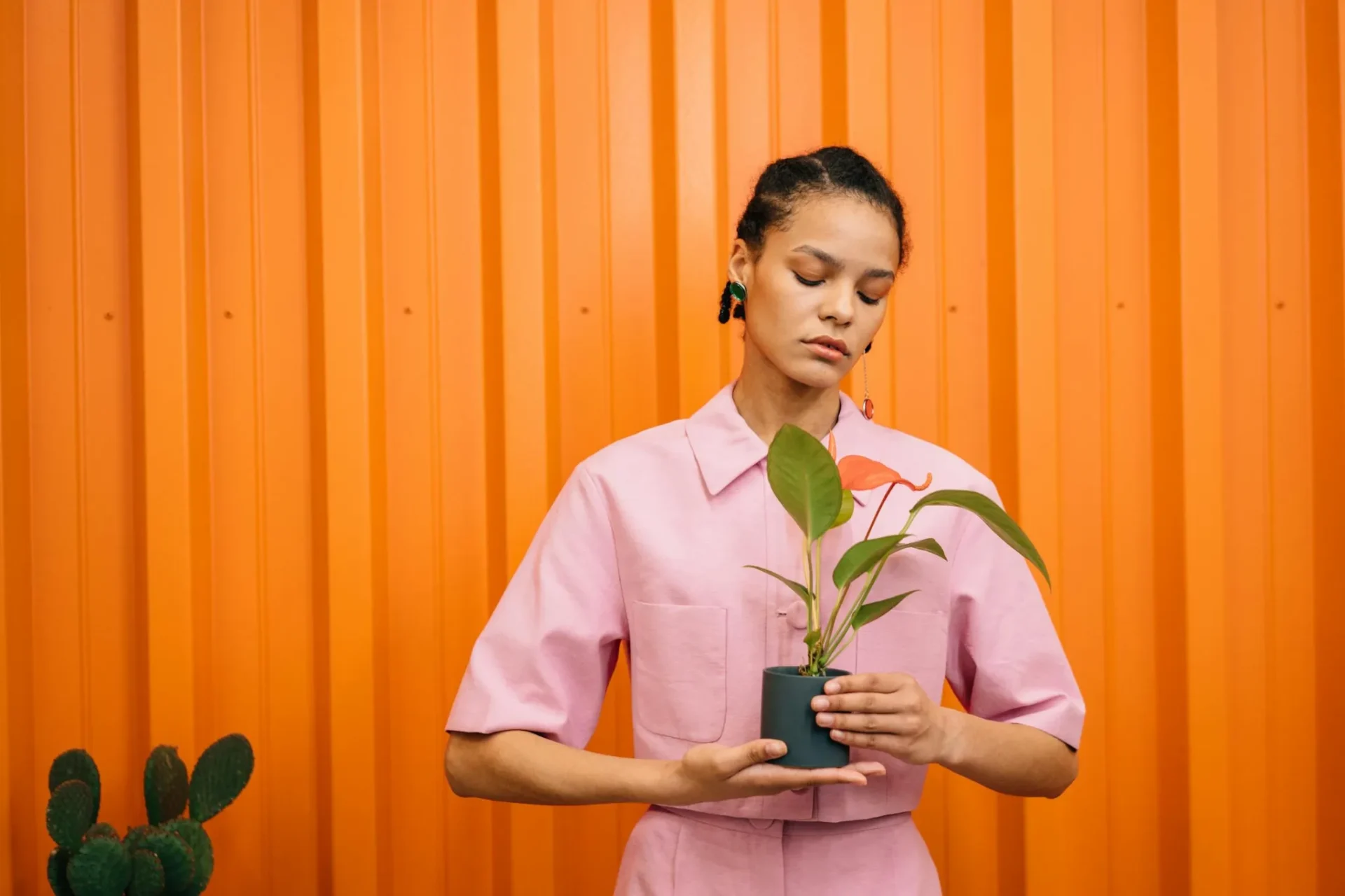 What is the Recommendations For Native Plants and Home GardeningReviewed by Ben Lawson - Practical Garden Tips Editor What is the Recommendations For Native Plants and Home GardeningReviewed by Ben Lawson - Practical Garden Tips Editor
