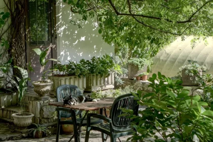 How Relaxing in Natural Gardens Enhances Your Health Conditions