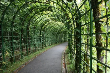 How to Made a Natural Garden With East Asian Esthetics