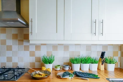 What Kind of Plants You Can Grow in Your Kitchen