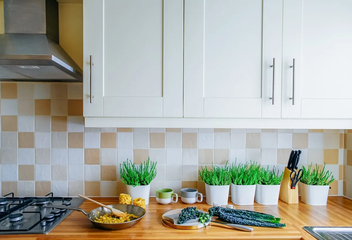 What Kind of Plants You Can Grow in Your Kitchen What Kind of Plants You Can Grow in Your Kitchen
